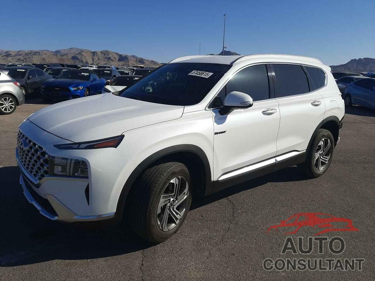HYUNDAI SANTA FE 2022 - 5NMS6DAJ8NH421302