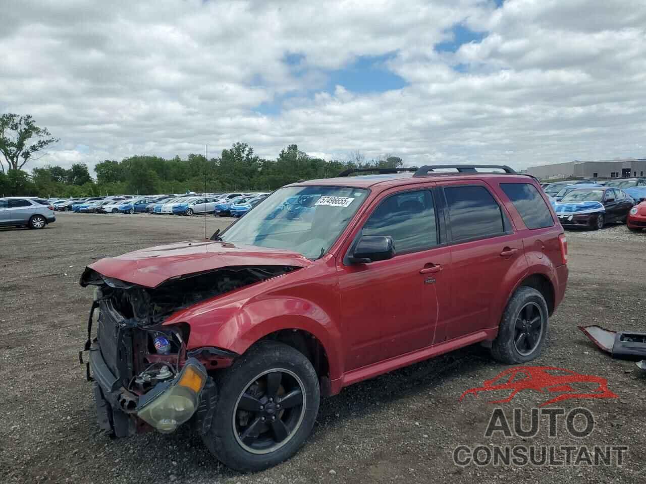 FORD ESCAPE 2009 - 1FMCU03749KC25920