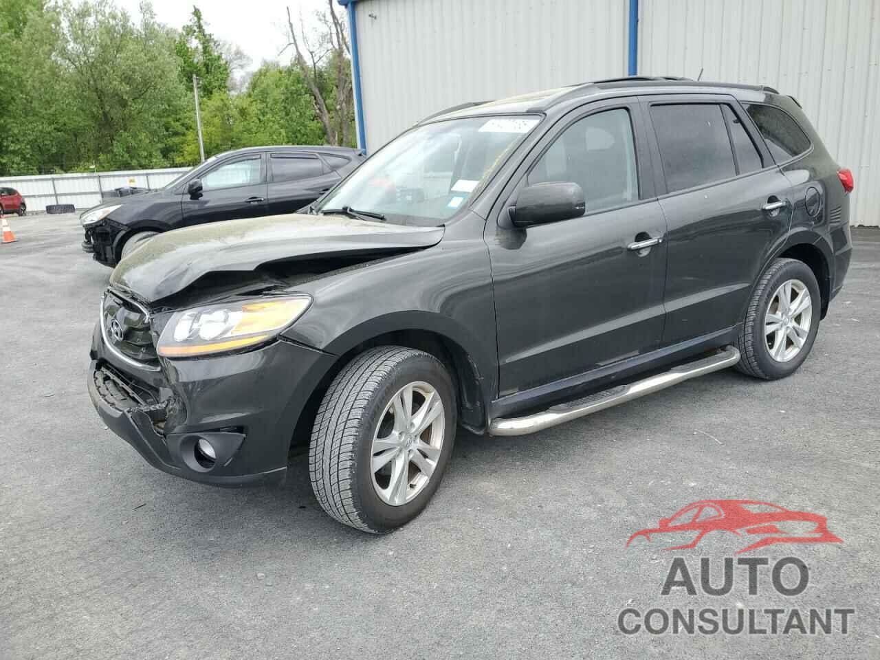 HYUNDAI SANTA FE 2010 - 5NMSKDAG1AH385334