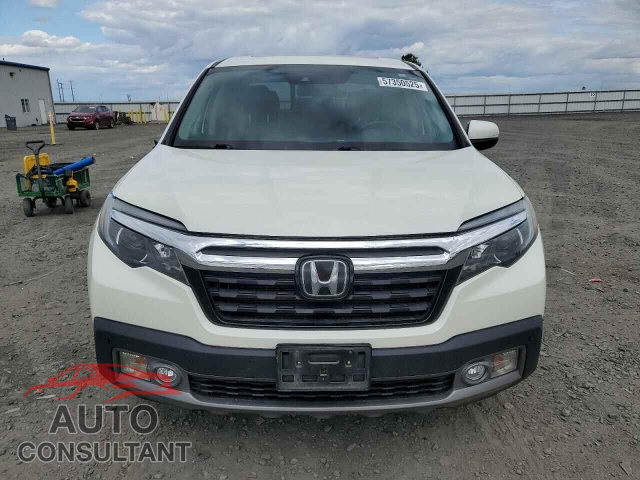 HONDA RIDGELINE 2019 - 5FPYK3F74KB039057