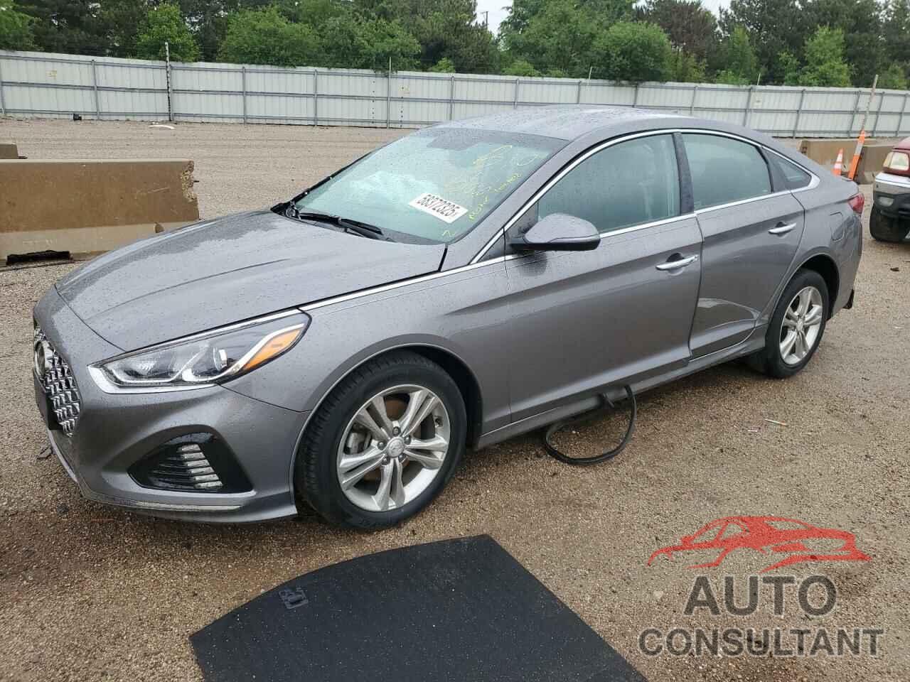 HYUNDAI SONATA 2019 - 5NPE34AF8KH820999