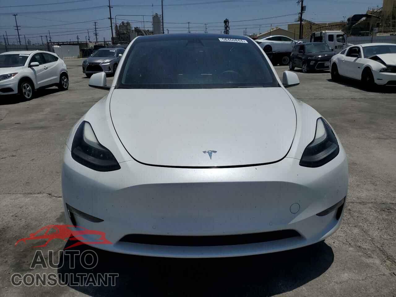TESLA MODEL Y 2022 - 7SAYGDEE6NF536781