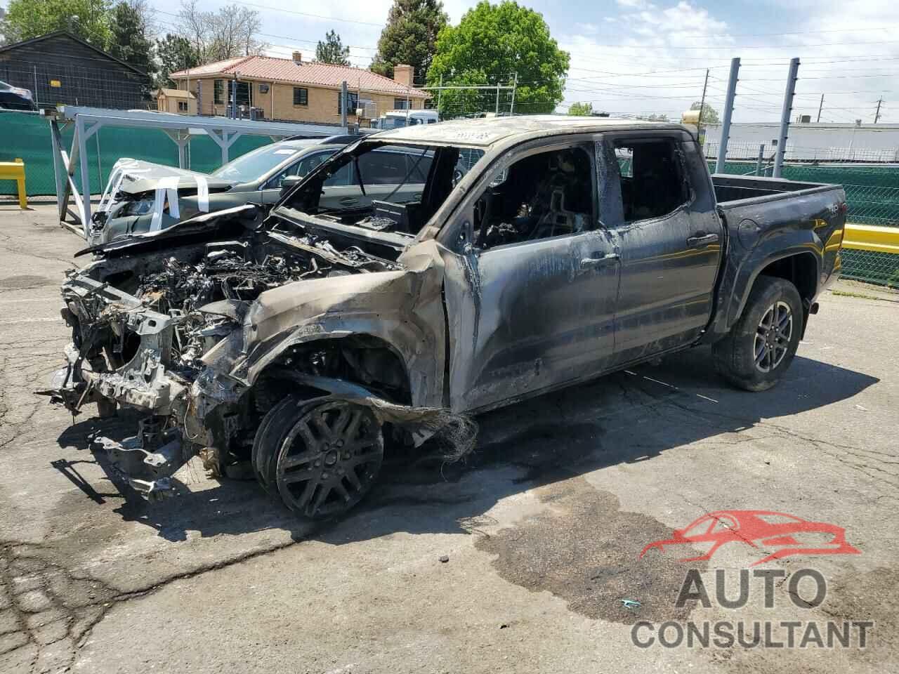 TOYOTA TACOMA 2024 - 3TMLB5JN3RM087613