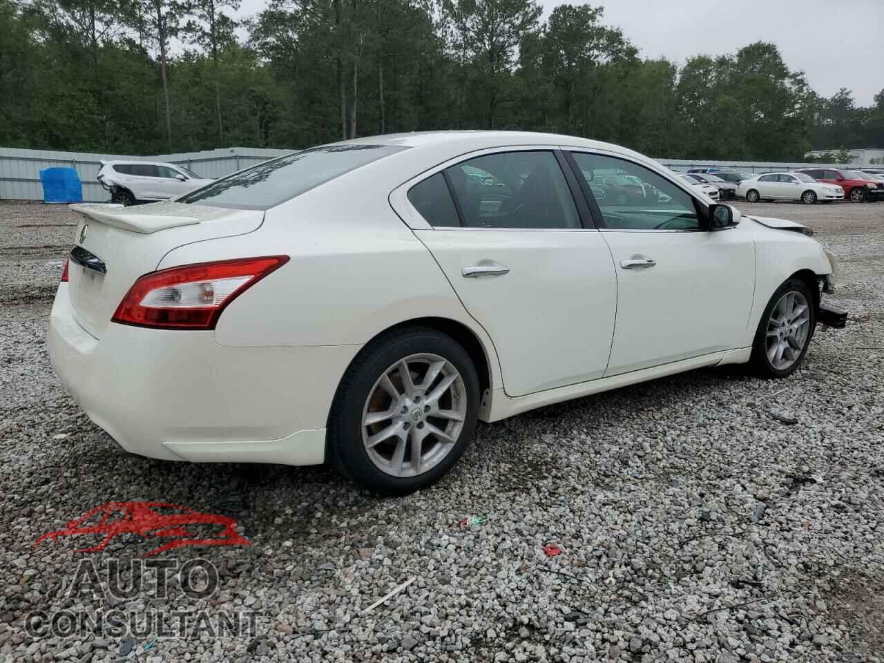 NISSAN MAXIMA 2010 - 1N4AA5AP2AC813341