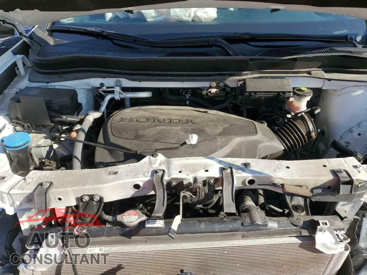 HONDA PILOT 2021 - 5FNYF6H00MB011001