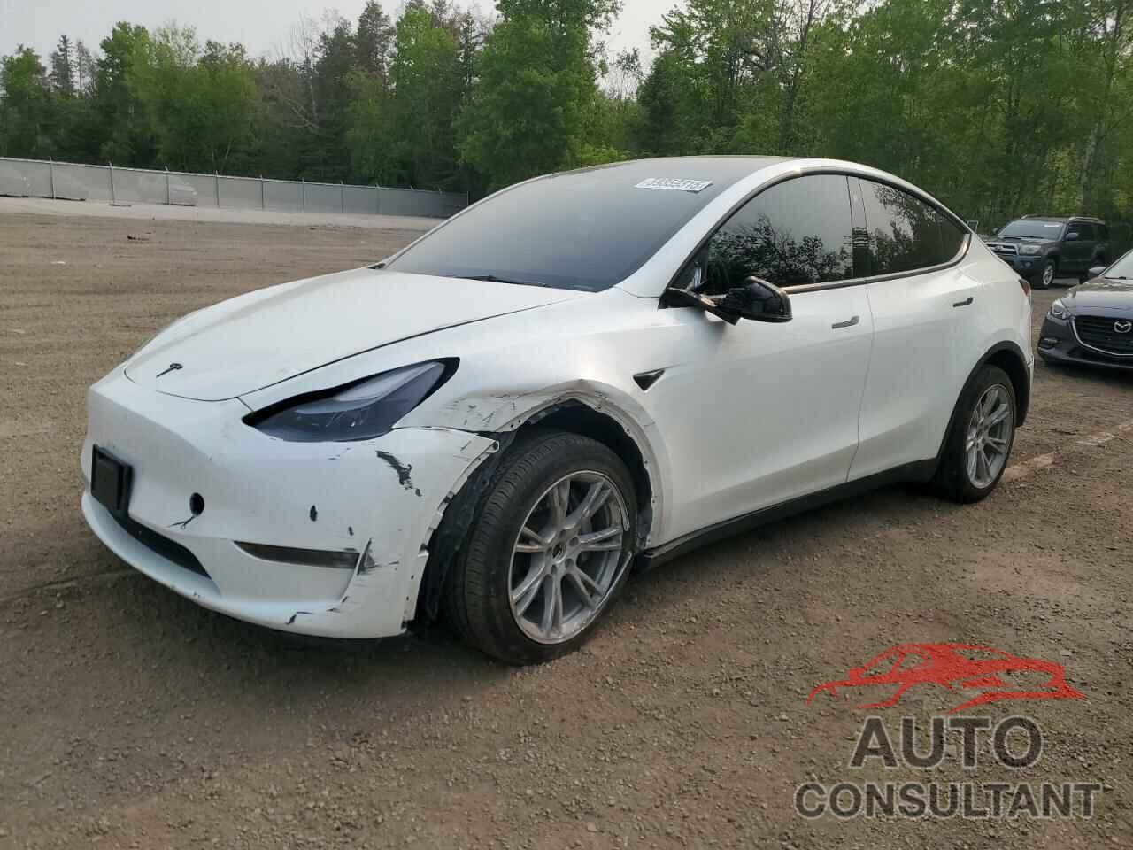 TESLA MODEL Y 2023 - 7SAYGDEE3PF775207
