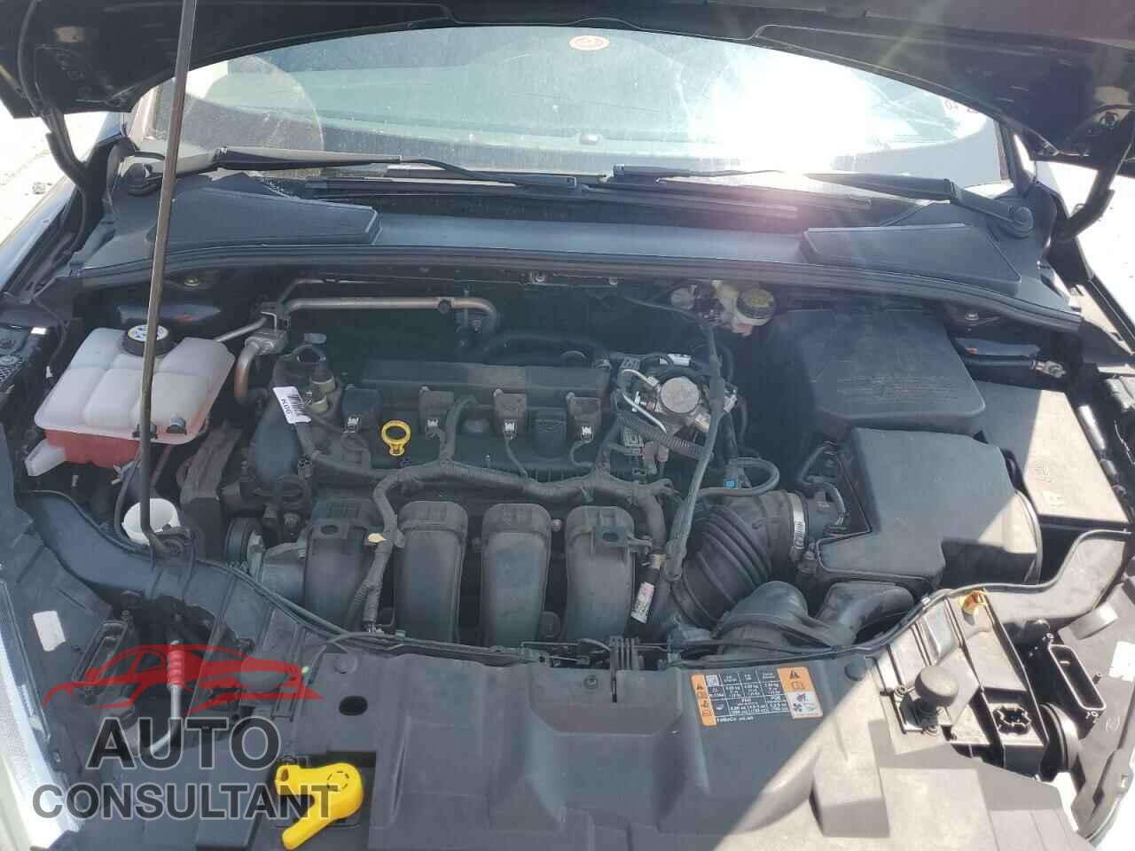 FORD FOCUS 2016 - 1FADP3F23GL338269