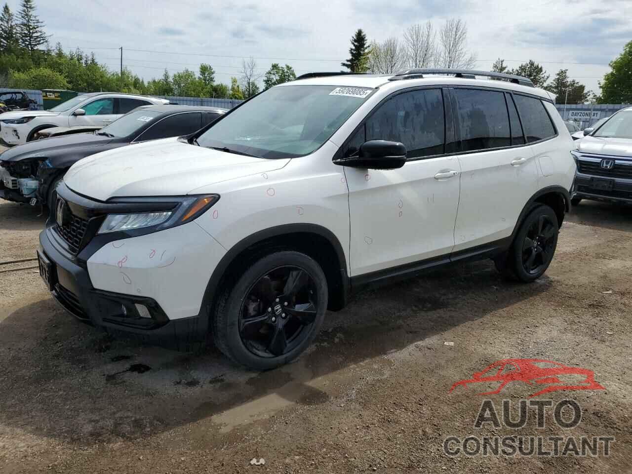 HONDA PASSPORT 2019 - 5FNYF8H97KB501488