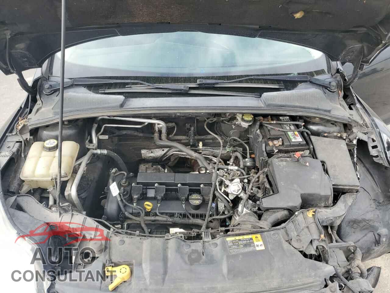 FORD FOCUS 2012 - 1FAHP3F28CL146681