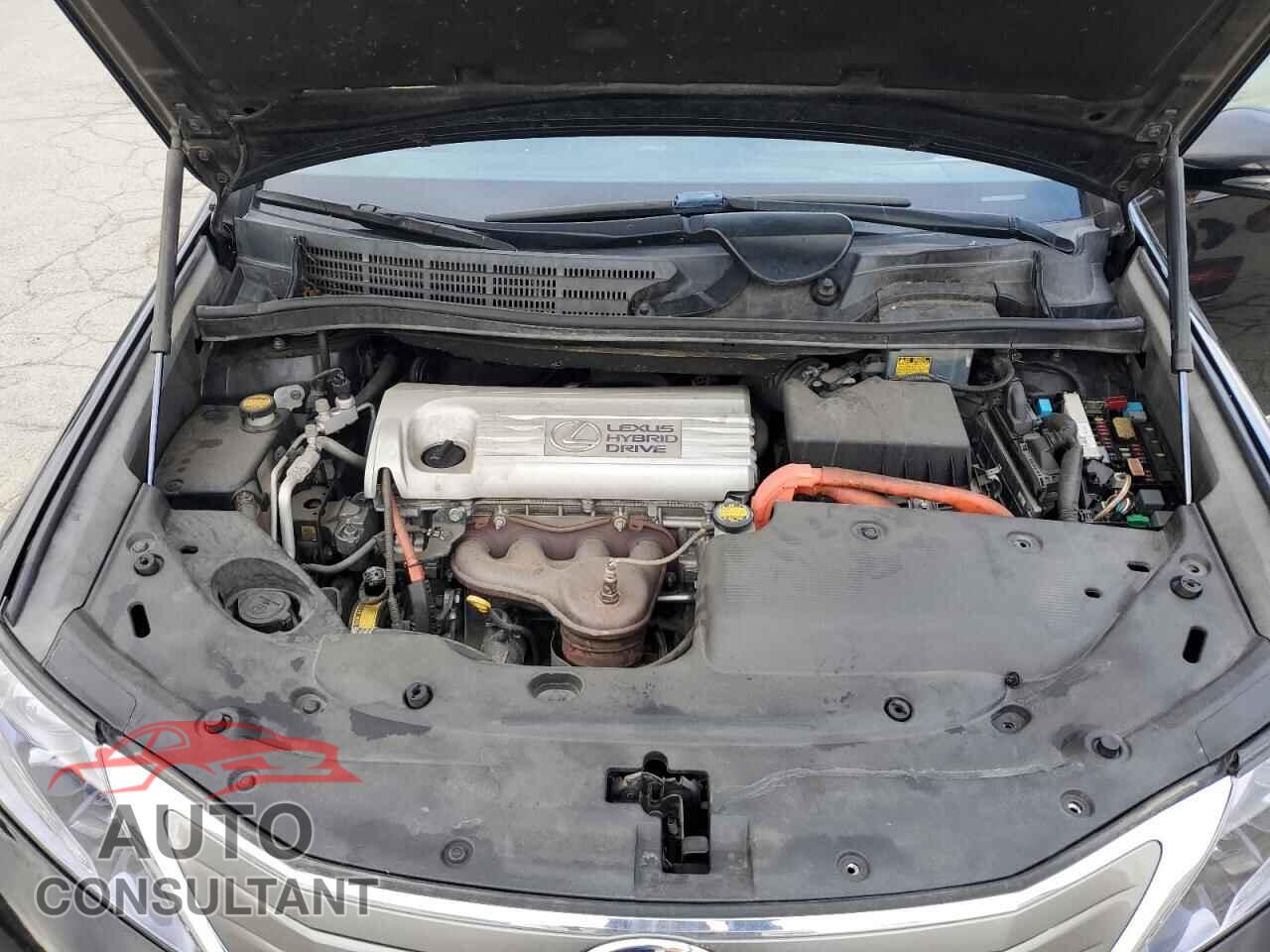 LEXUS HS 2010 - JTHBB1BA5A2029657