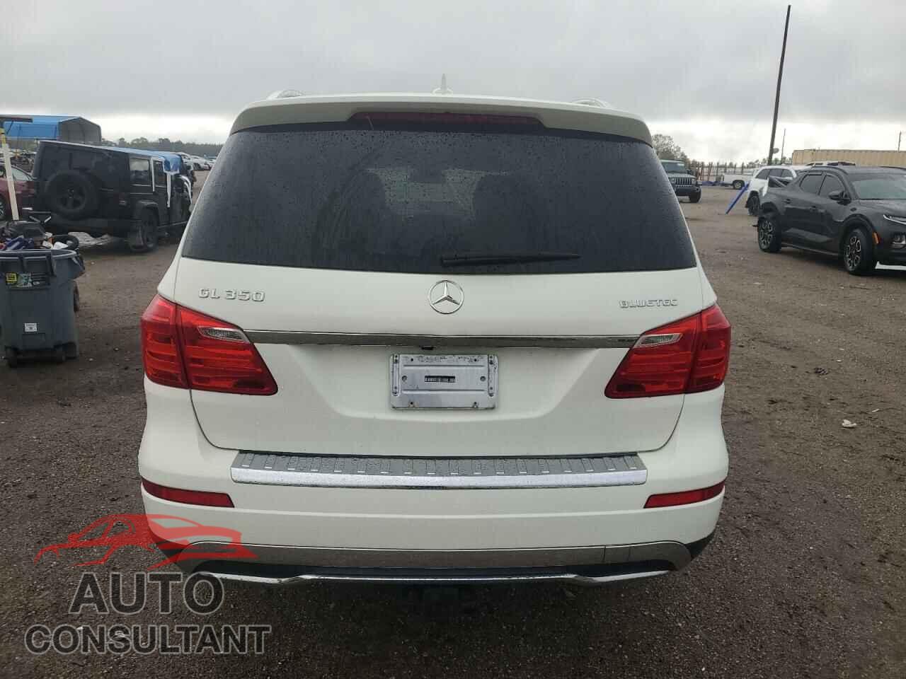 MERCEDES-BENZ GL-CLASS 2013 - 4JGDF2EE4DA142654