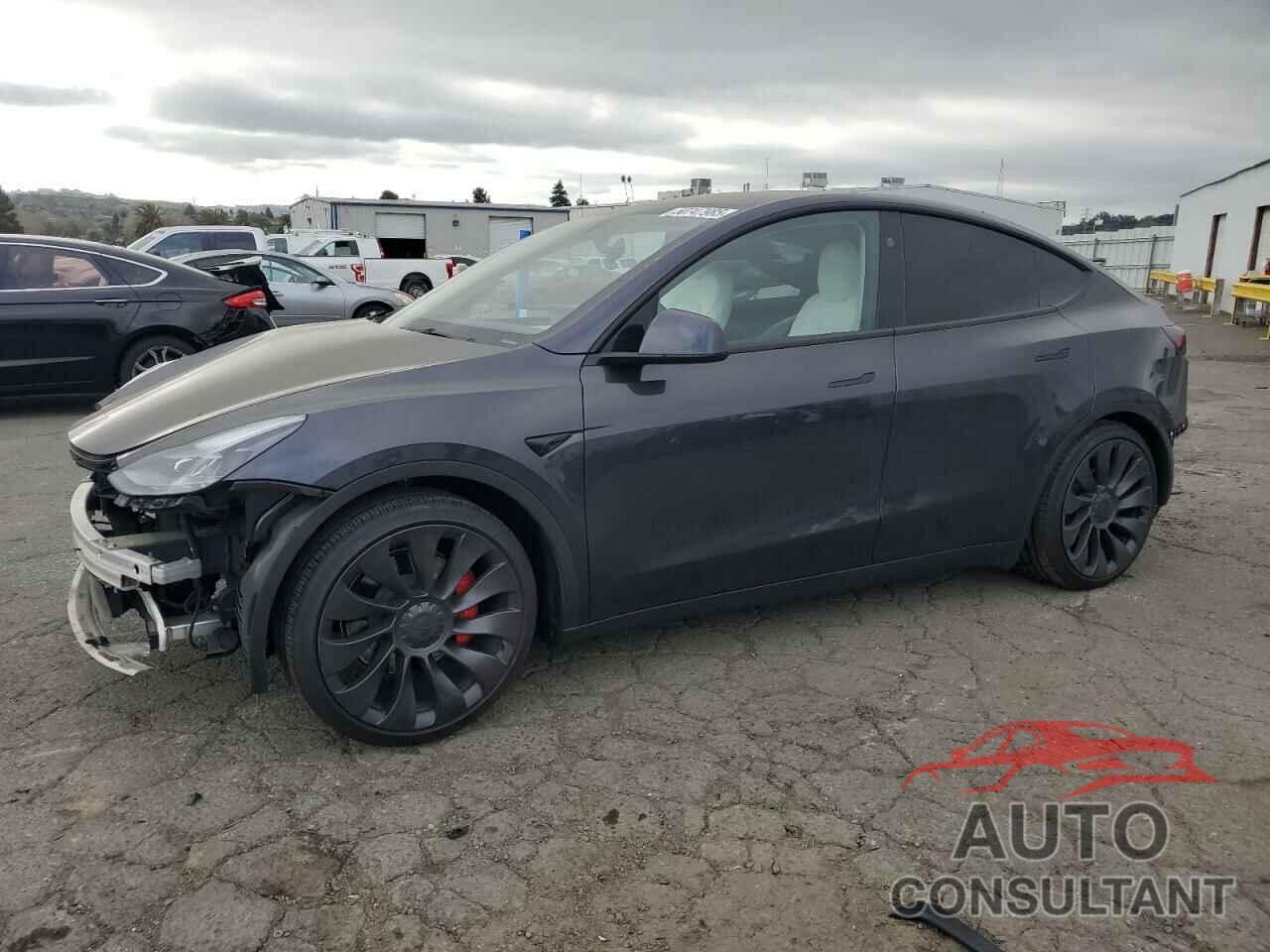 TESLA MODEL Y 2024 - 7SAYGDEF7RF093054