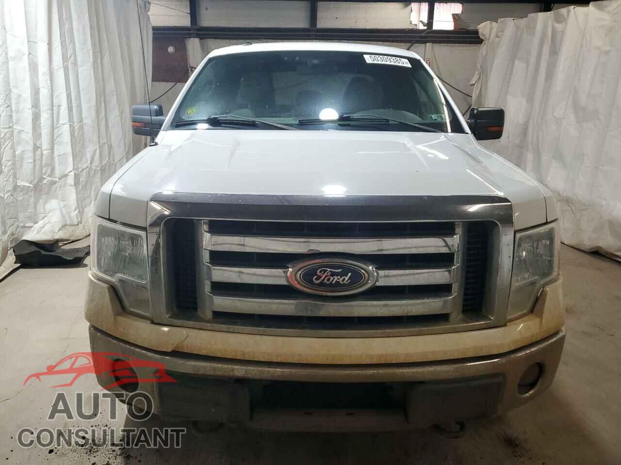FORD F-150 2011 - 1FTFX1EF0BFA11928