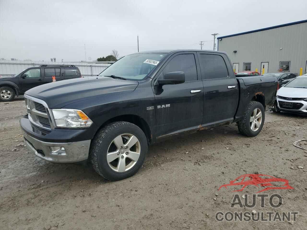 DODGE All Models 2009 - 1D3HV13T19J516494