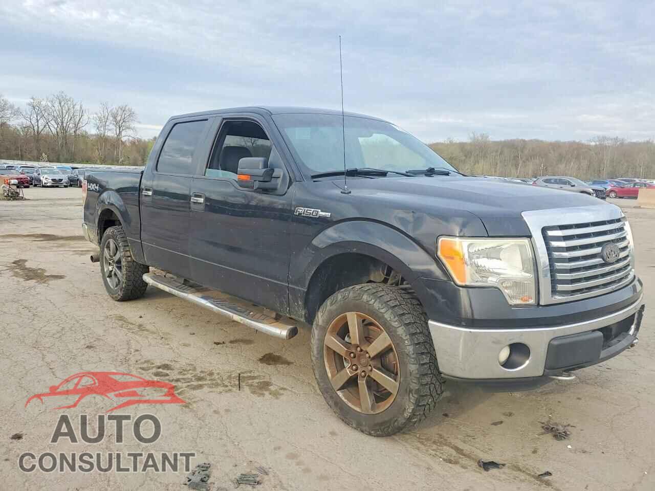 FORD F150 2011 - 1FTFW1EF3BFC76281