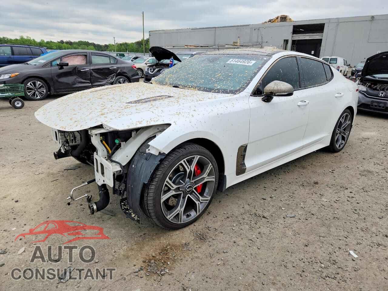 KIA STINGER 2019 - KNAE45LC1K6059679