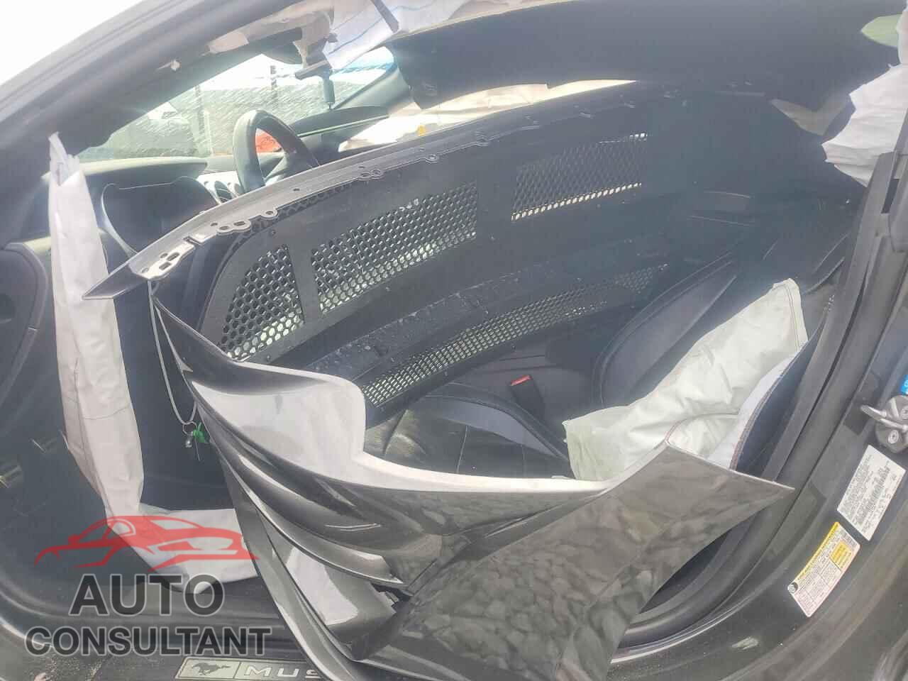 FORD MUSTANG 2019 - 1FA6P8CF7K5101794