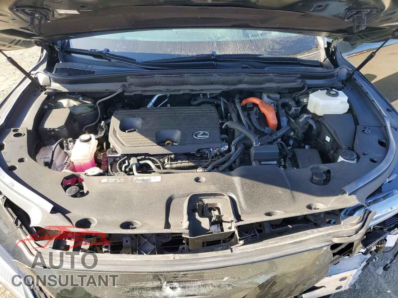 LEXUS UNKNOWN 2023 - 2T2BBMCA8PC005781