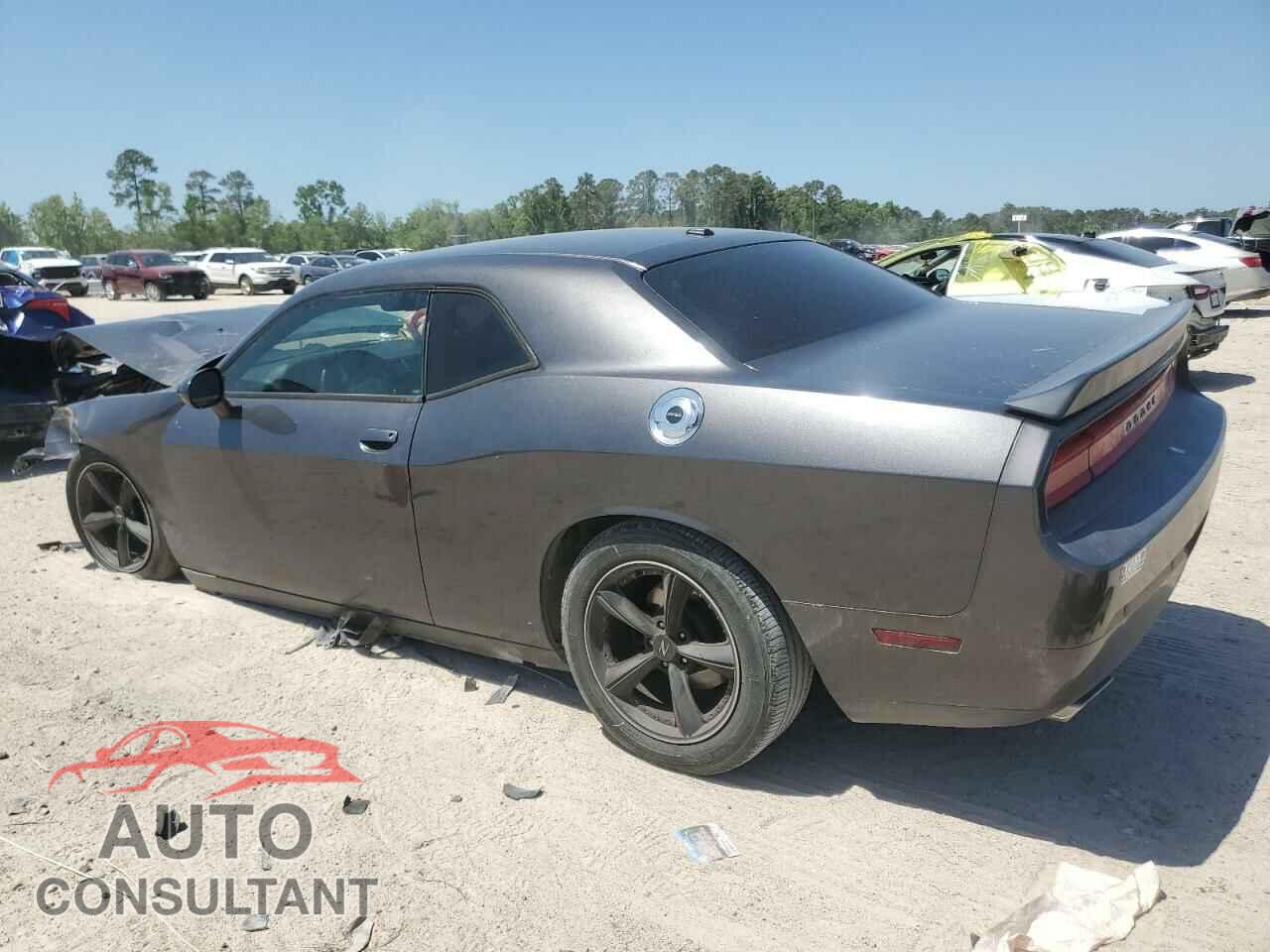 DODGE CHALLENGER 2013 - 2C3CDYAG6DH554175