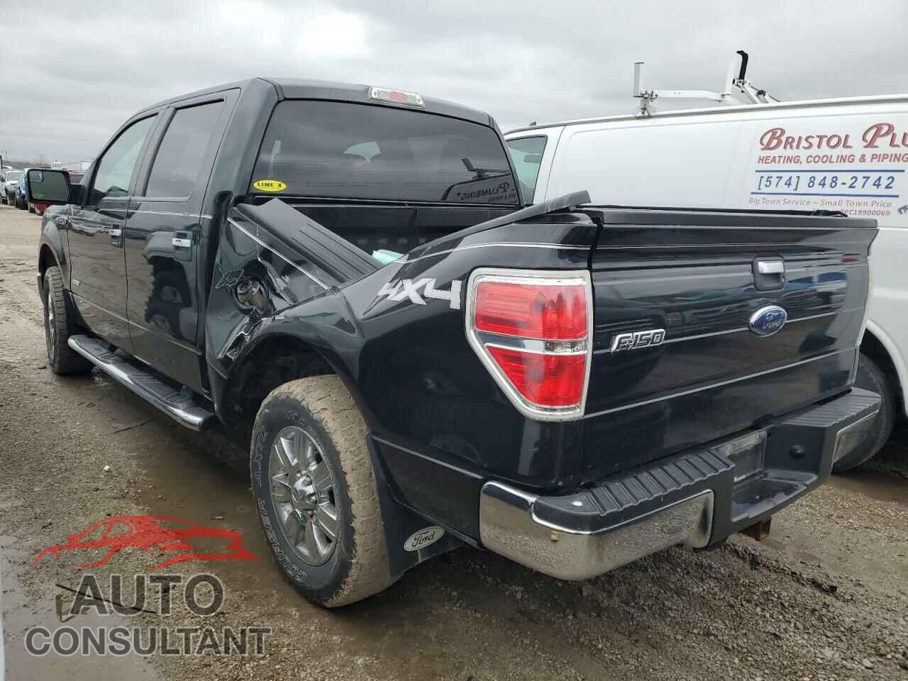 FORD F-150 2011 - 1FTFW1ET2BFA57754