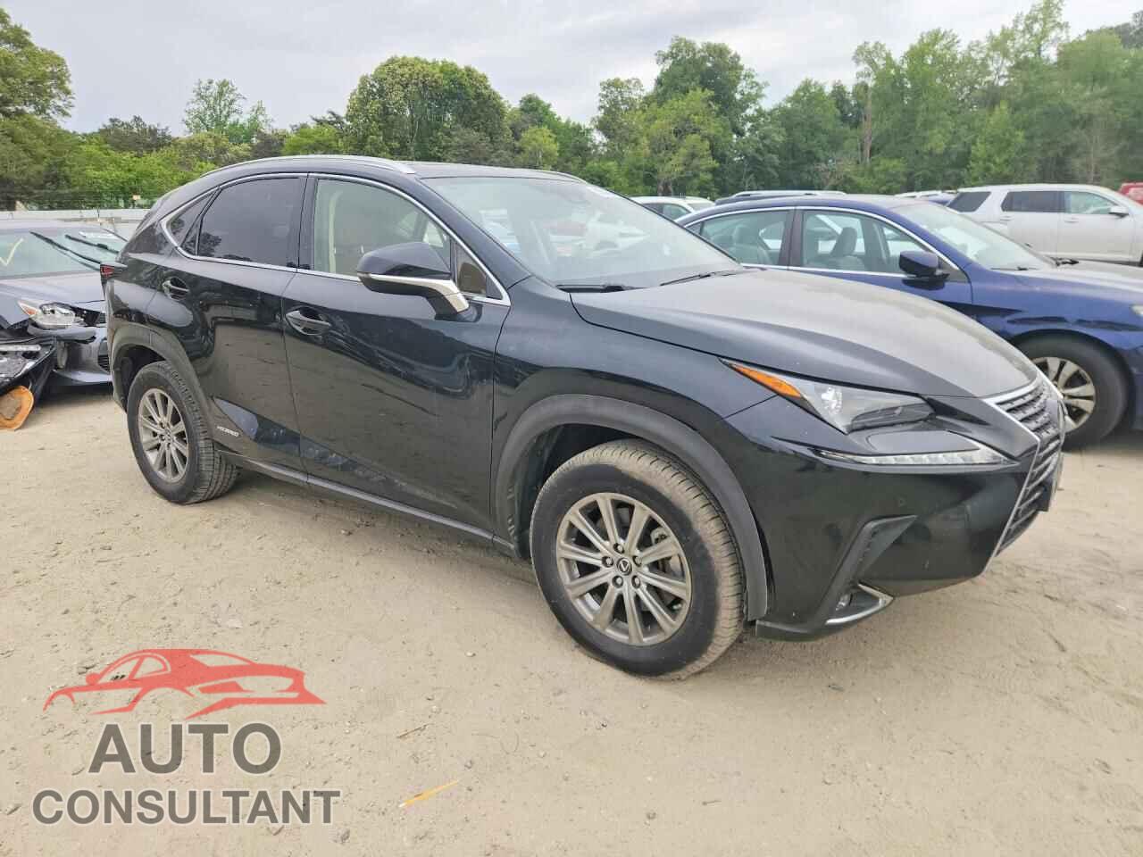 LEXUS NX 2020 - JTJDJRDZ0L2130748