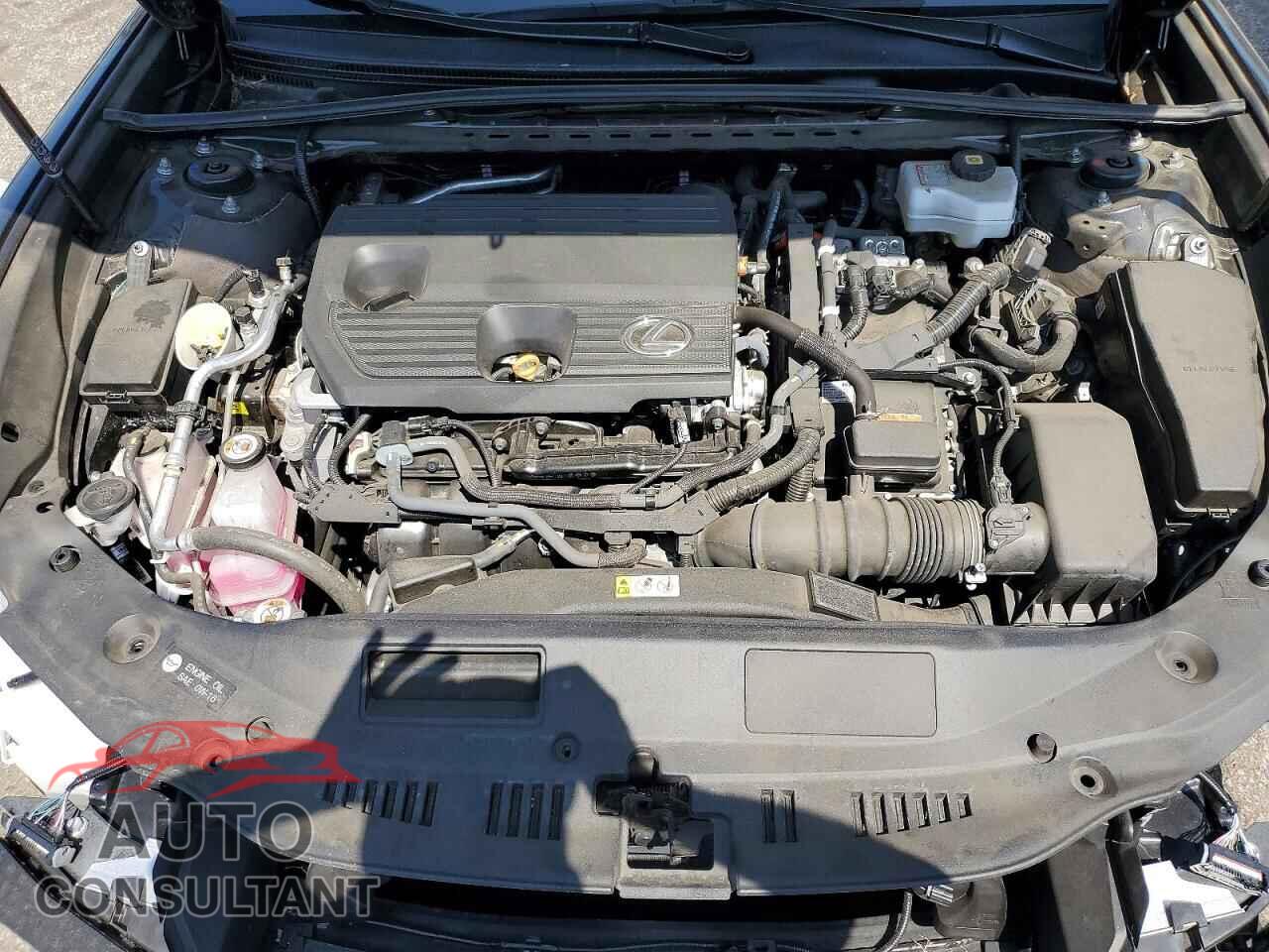 LEXUS ES300 2025 - 58ADA1C11SU060040