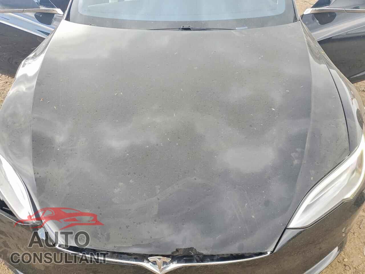 TESLA MODEL S 2019 - 5YJSA1E46KF309001
