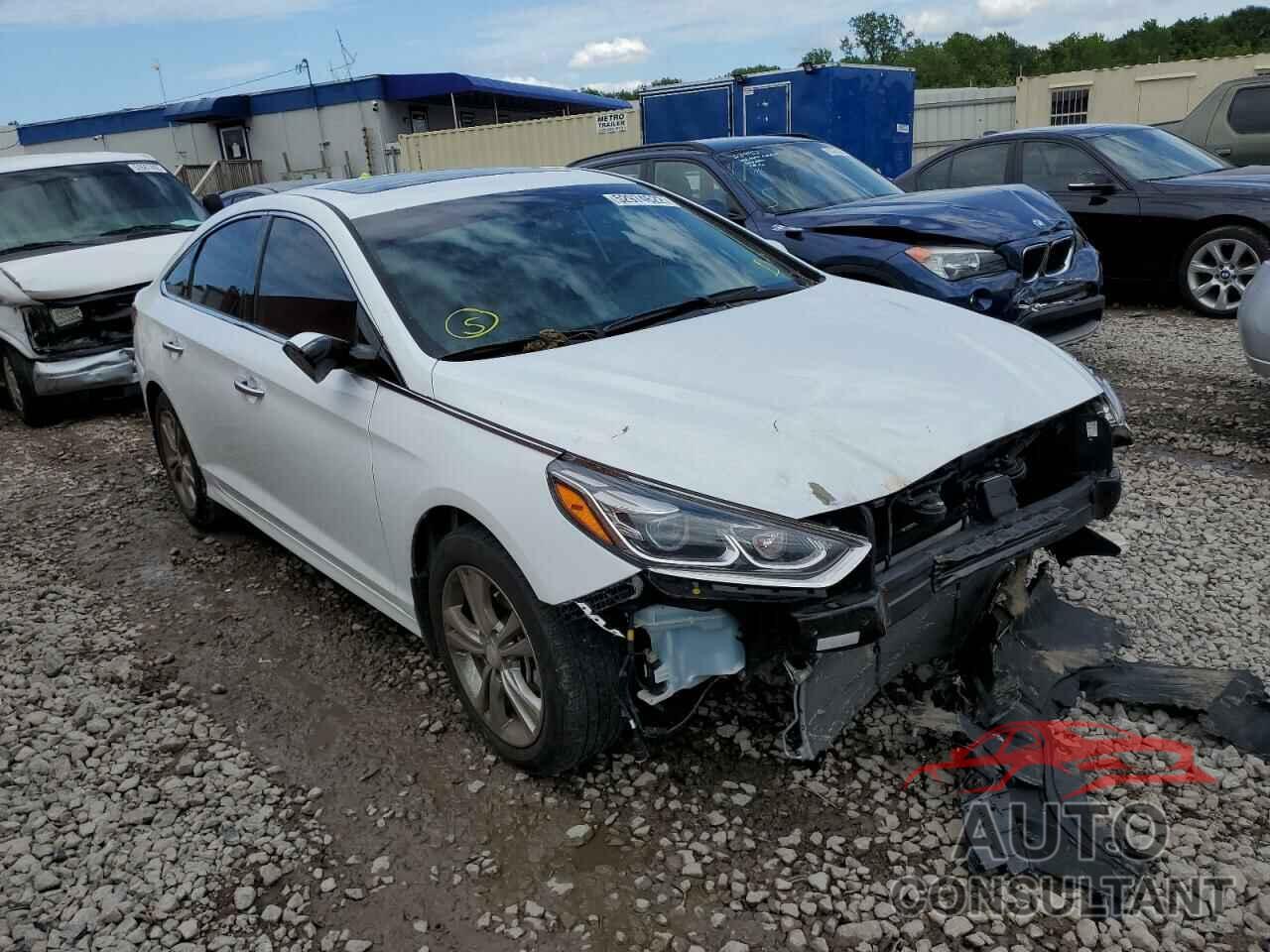 HYUNDAI SONATA 2019 - 5NPE34AF5KH807952