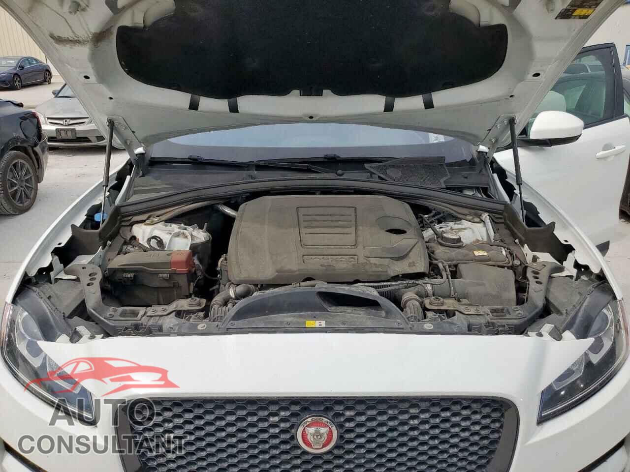 JAGUAR F-PACE 2020 - SADCJ2FX1LA628811