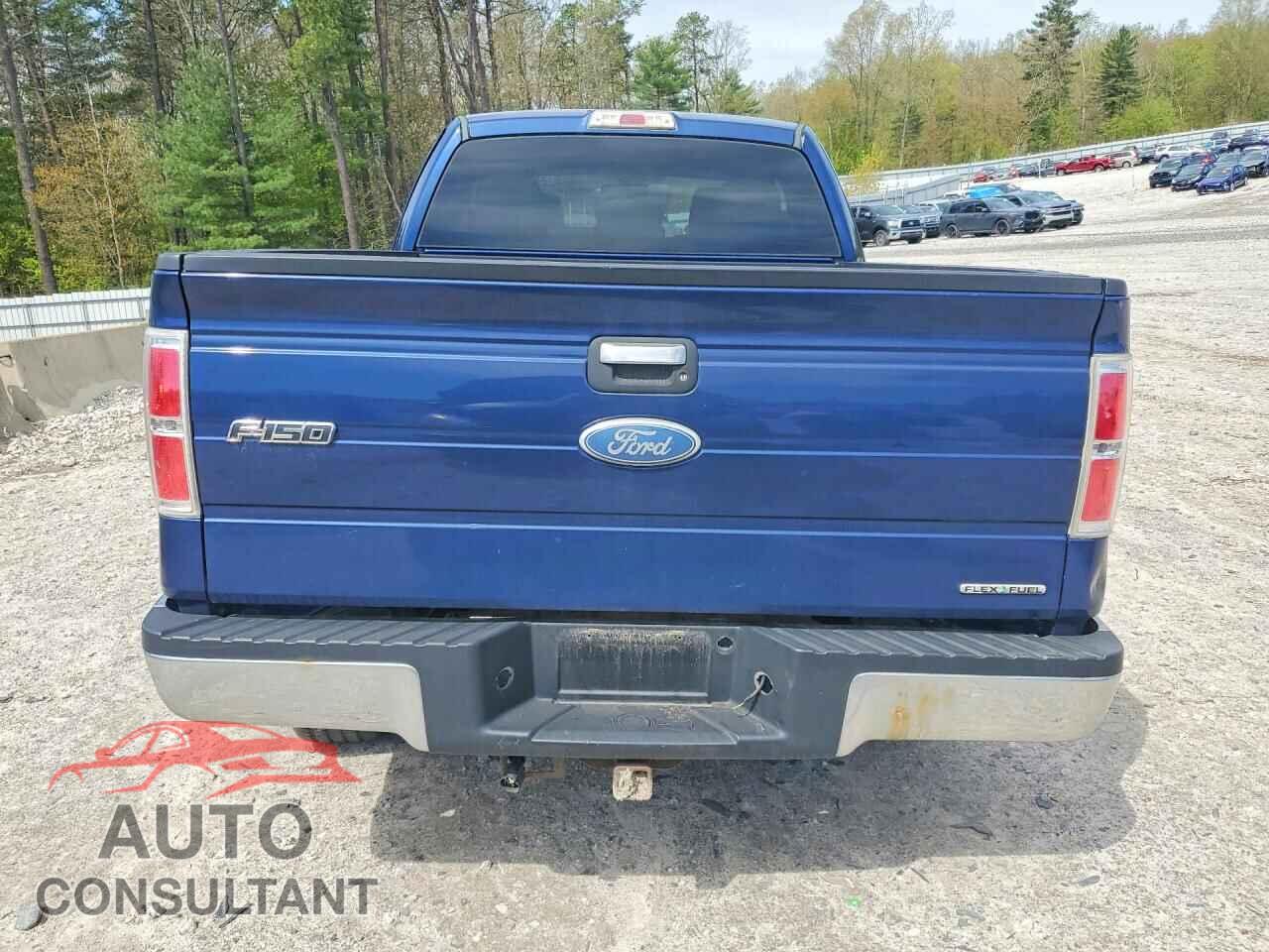 FORD F150 2012 - 1FTFX1EF6CFA51576