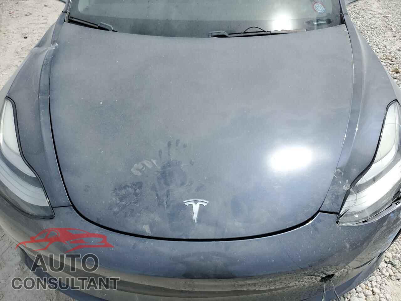 TESLA MODEL 3 2019 - 5YJ3E1EA4KF434741