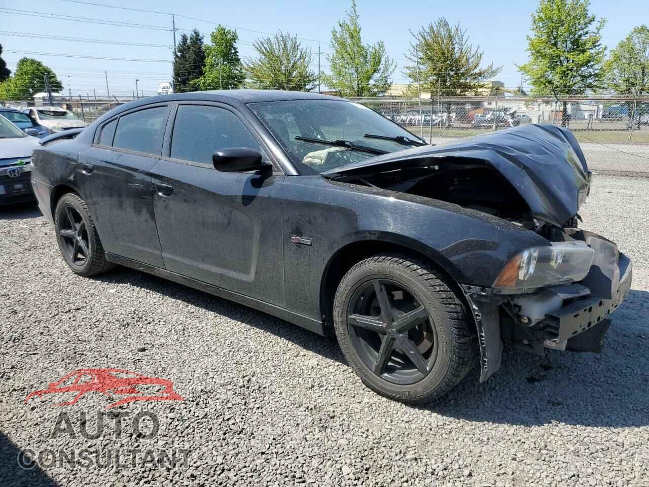 DODGE CHARGER 2014 - 2C3CDXHG7EH219587