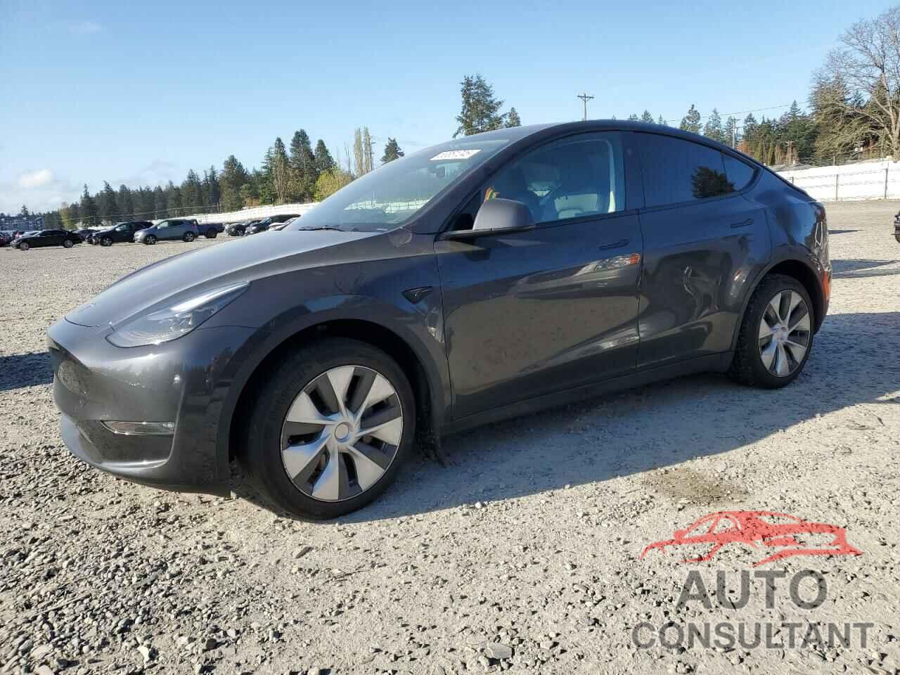 TESLA MODEL Y 2024 - 7SAYGDEE3RF008802