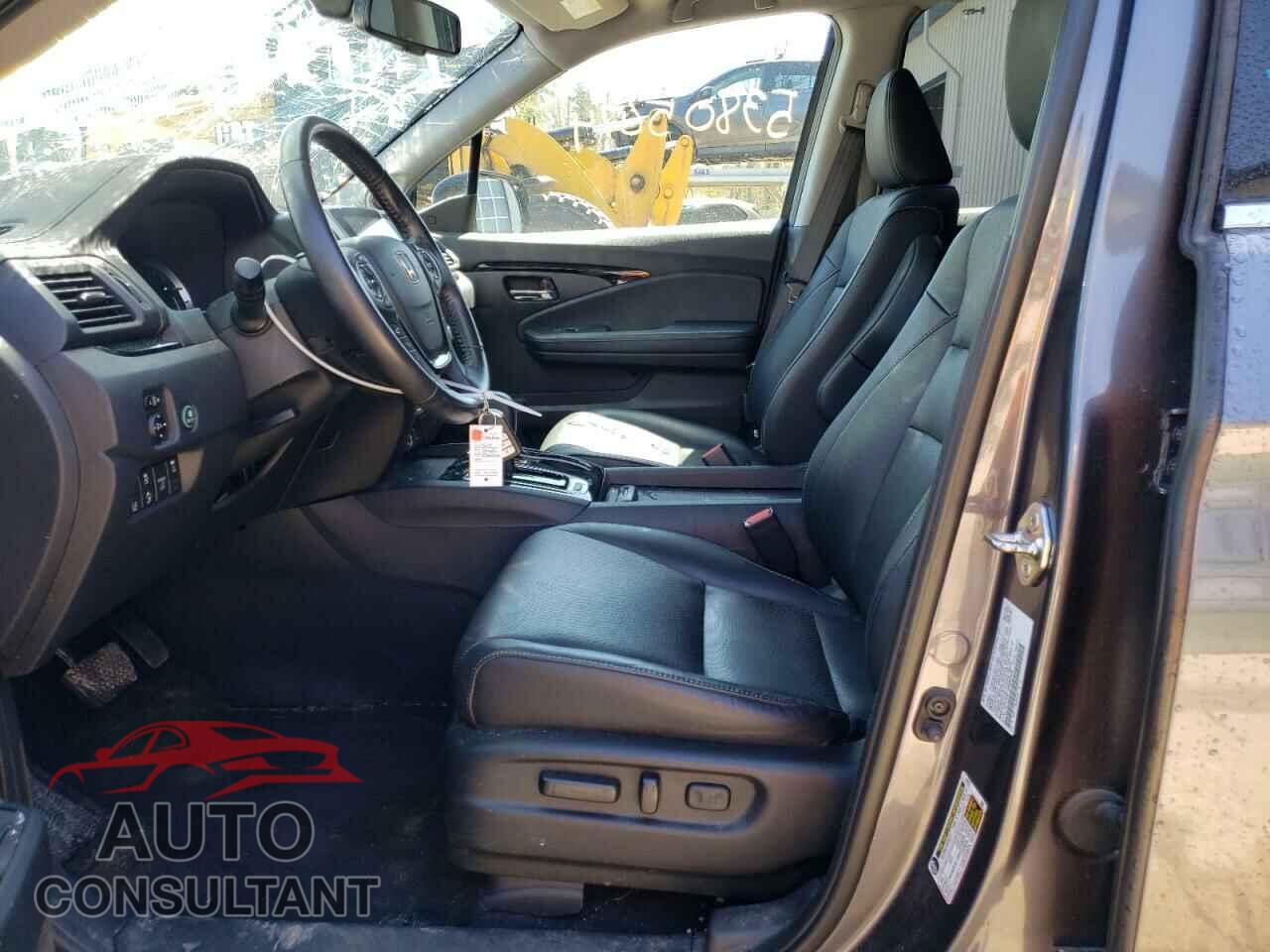 HONDA RIDGELINE 2019 - 5FPYK3F78KB035335