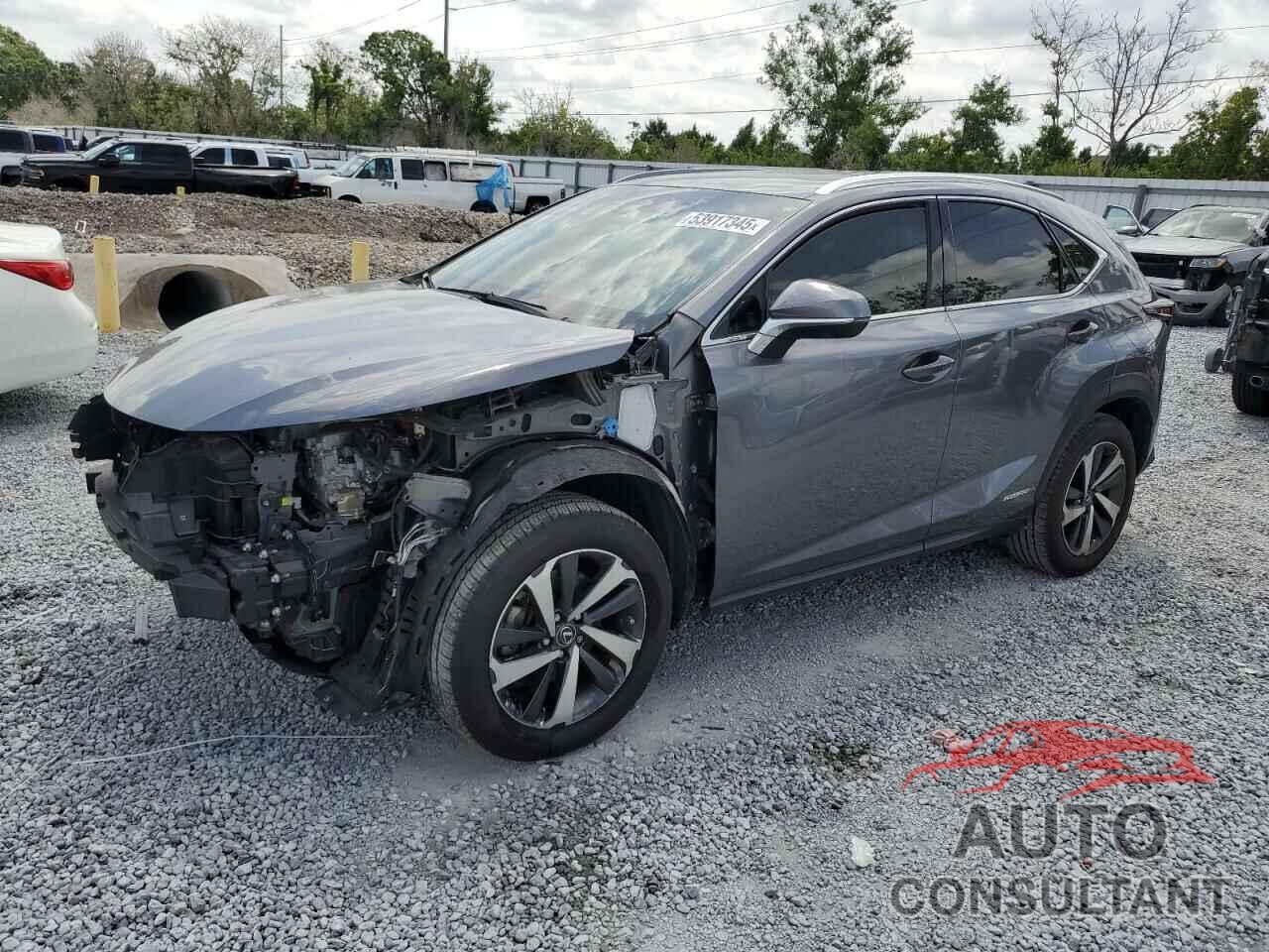 LEXUS NX 2021 - JTJGJRDZXM2155719