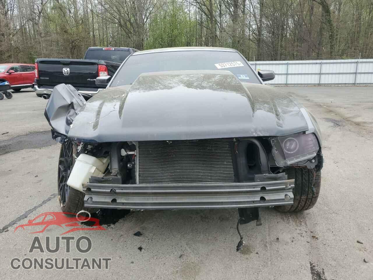 FORD MUSTANG 2010 - 1ZVBP8CH9A5119610