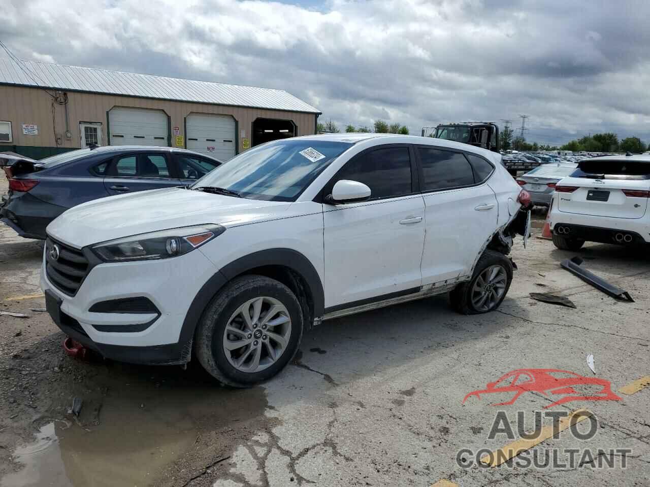 HYUNDAI TUCSON 2017 - KM8J23A43HU297752