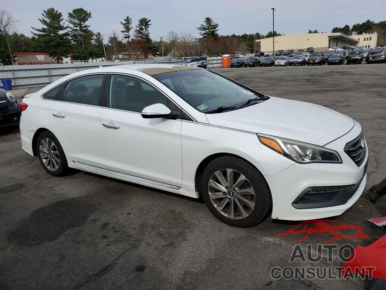 HYUNDAI SONATA 2016 - 5NPE34AF1GH262226