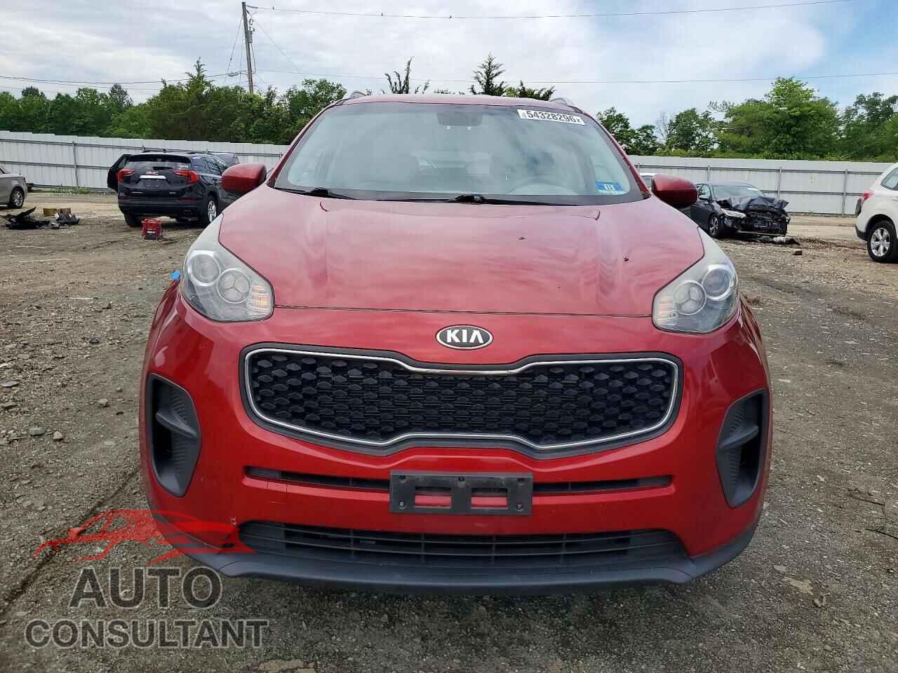 KIA SPORTAGE 2019 - KNDPM3AC2K7552123