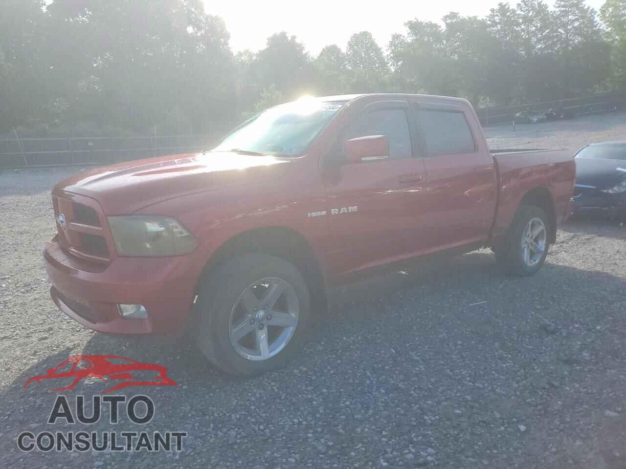 DODGE RAM 1500 2009 - 1D3HV13T89S823705