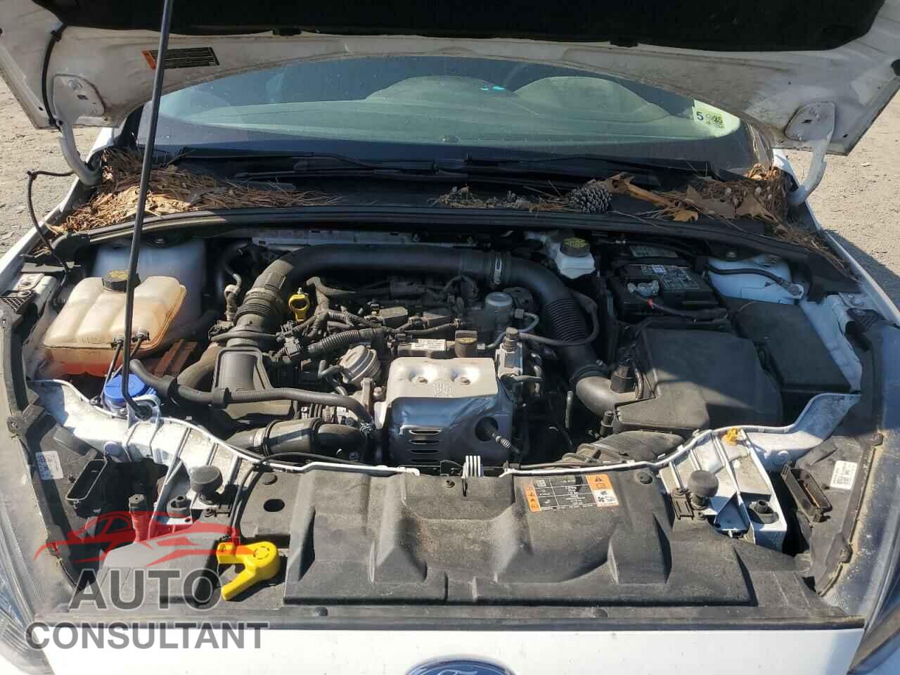 FORD FOCUS 2018 - 1FADP3FE0JL256985