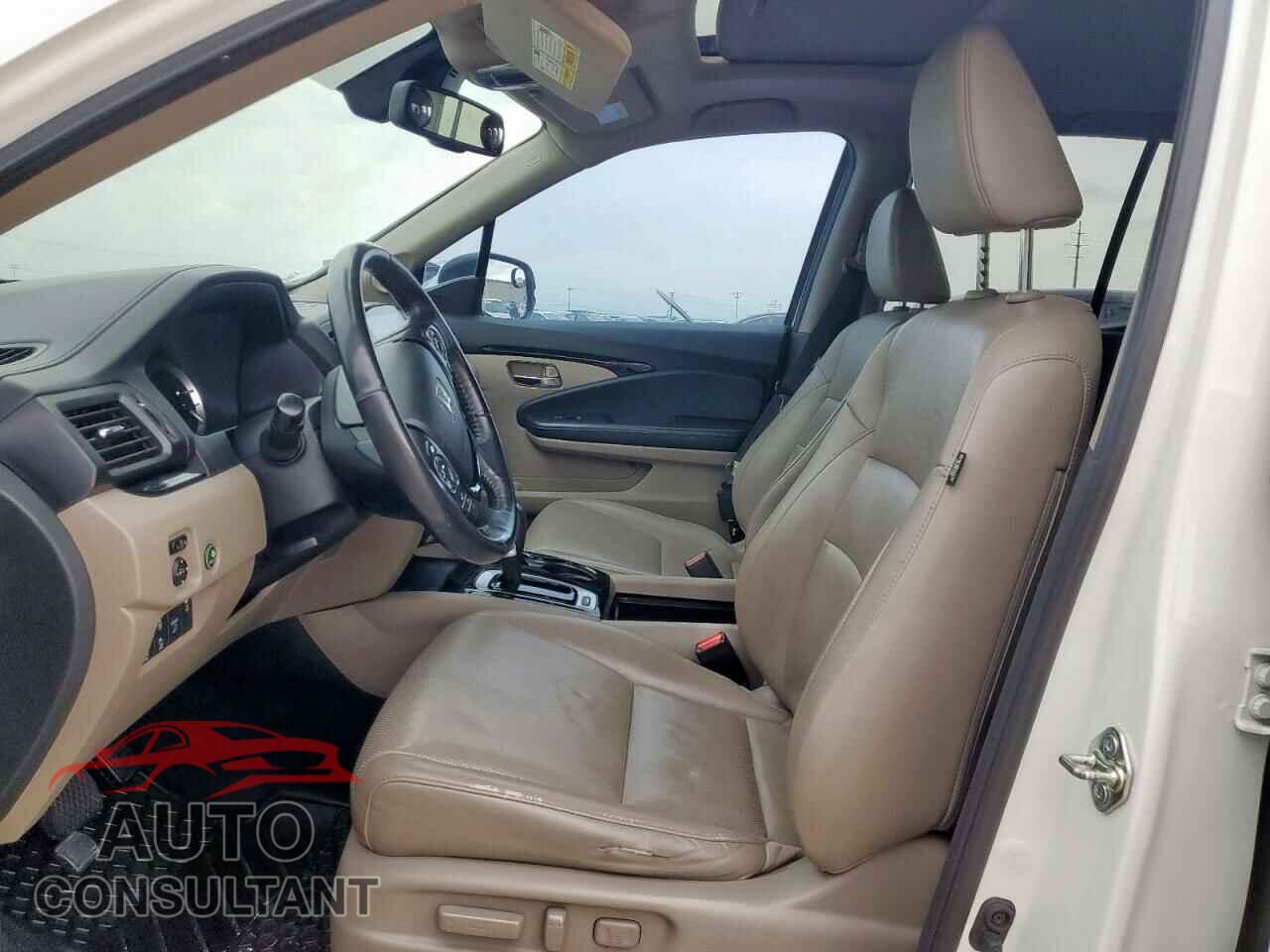 HONDA RIDGELINE 2019 - 5FPYK3F72KB005666