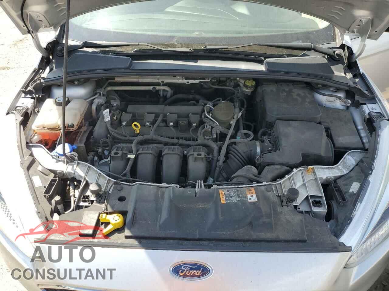 FORD FOCUS 2016 - 1FADP3F23GL243811