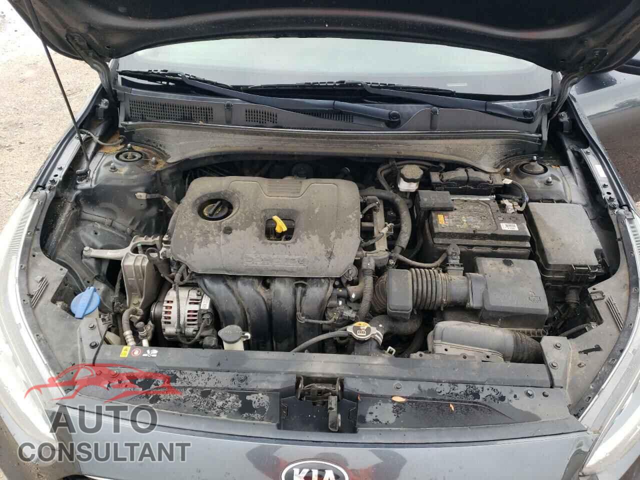 KIA FORTE 2019 - 3KPF24AD3KE106580