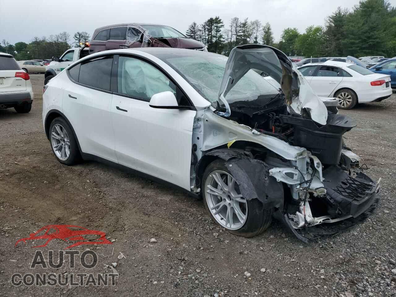 TESLA MODEL Y 2020 - 5YJYGDEE2LF044825