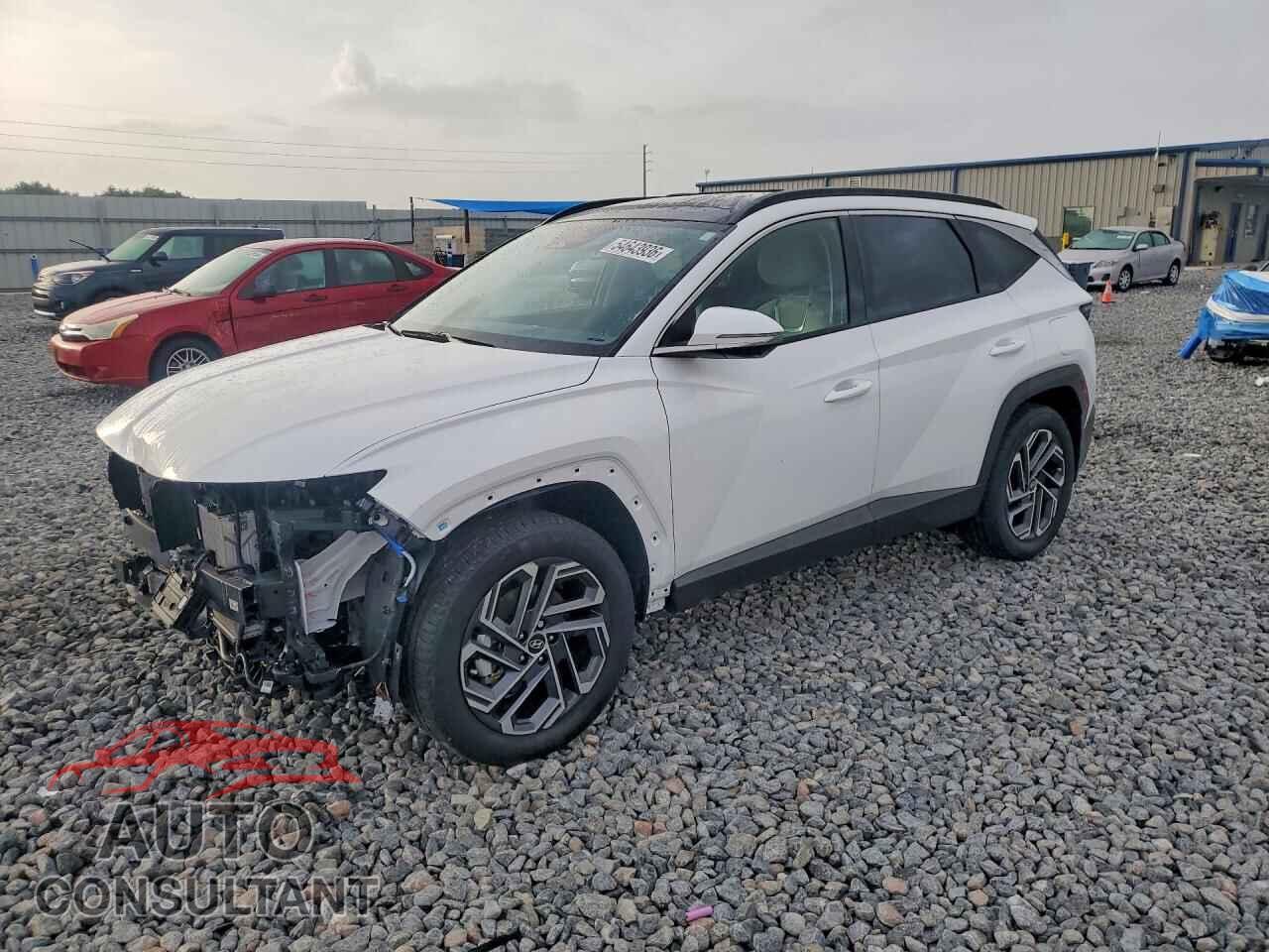 HYUNDAI TUCSON 2025 - KM8JEDD19SU312602