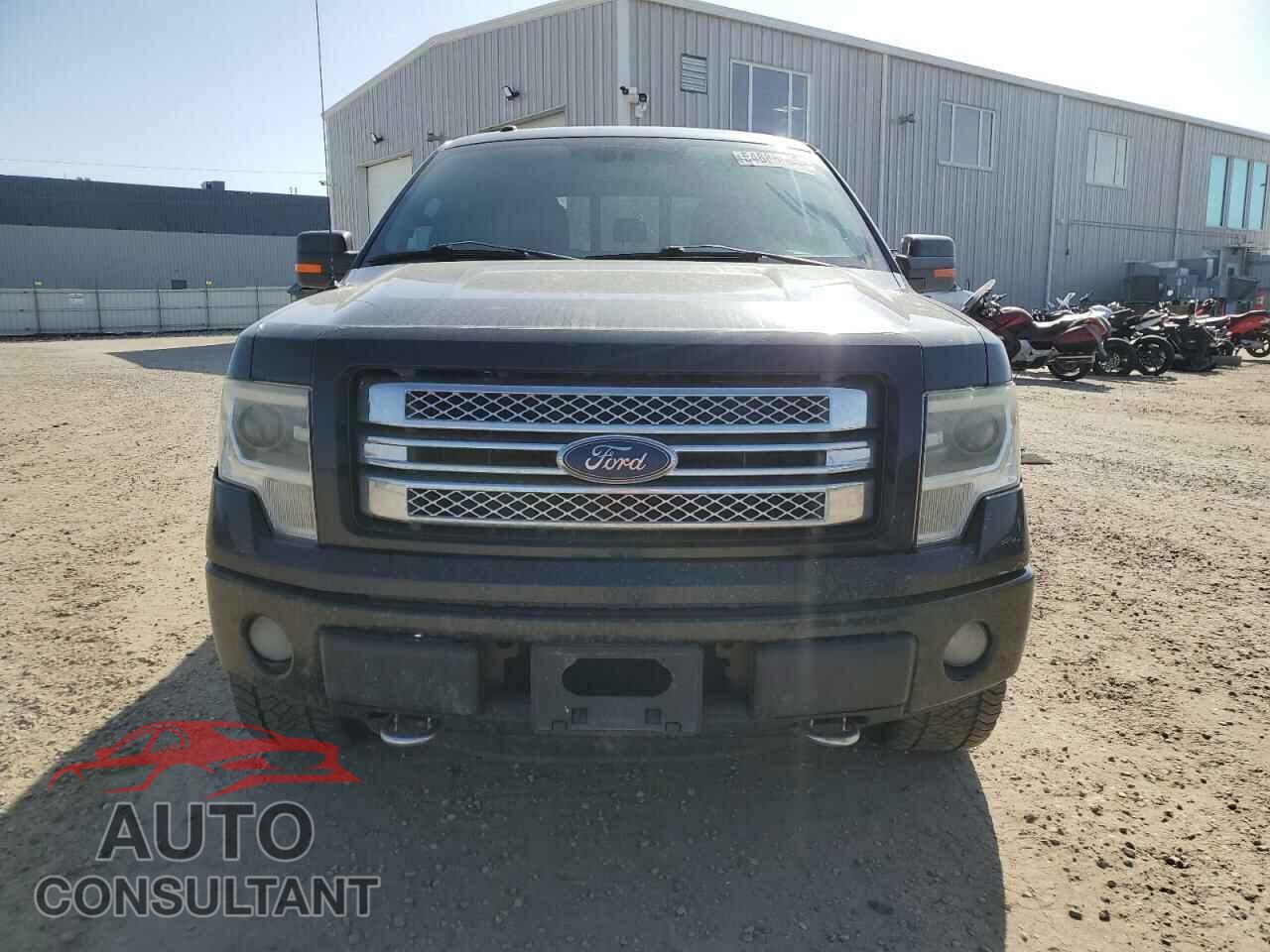 FORD F-150 2013 - 1FTFW1E66DFC51295