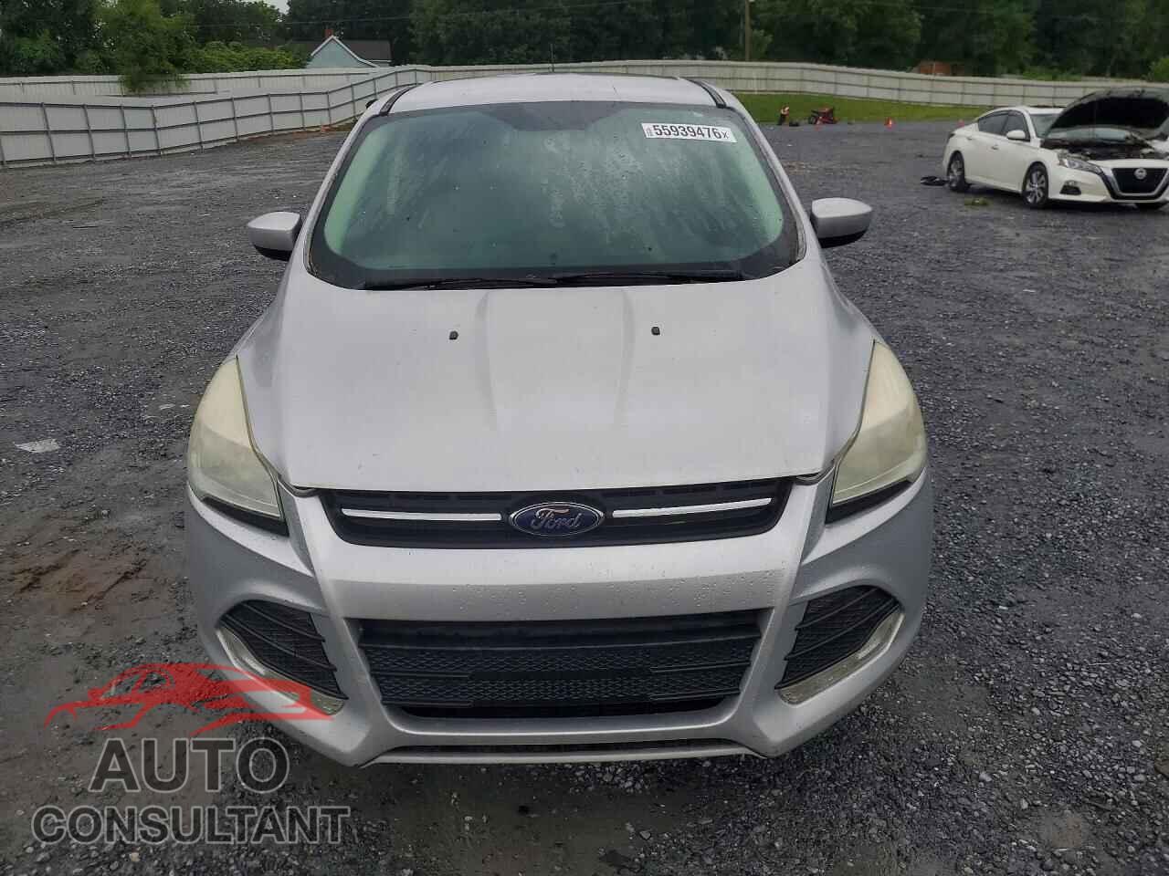 FORD ESCAPE 2014 - 1FMCU9GX5EUC35658