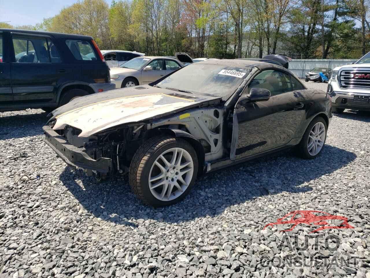 MERCEDES-BENZ SLK-CLASS 2009 - WDBWK54F19F192019