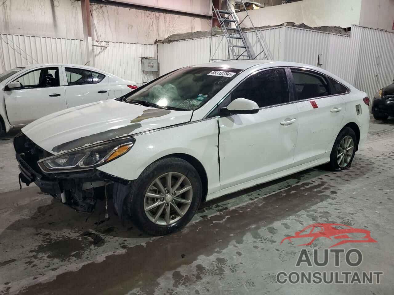 HYUNDAI SONATA 2019 - 5NPE24AF3KH764280